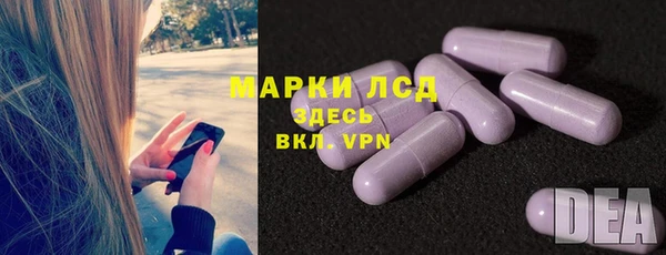 сатива Балахна
