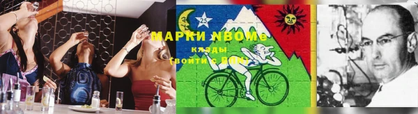 шишки Баксан