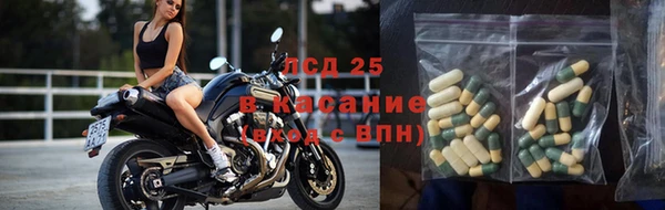 шишки Баксан