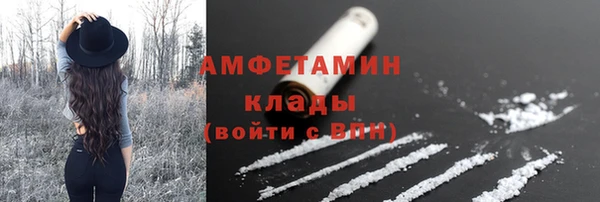шишки Баксан