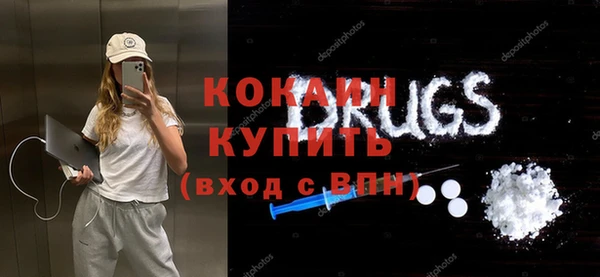 сатива Балахна