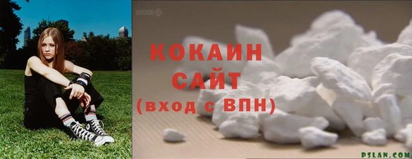 сатива Балахна