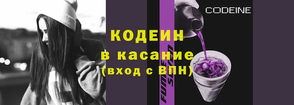 шишки Баксан