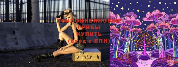 шишки Баксан