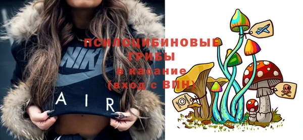 сатива Балахна