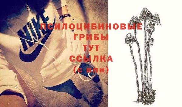 шишки Баксан