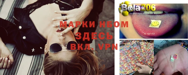 шишки Баксан