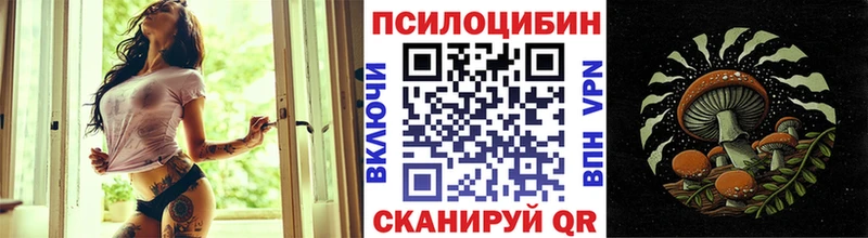 Купить  Гуково  Псилоцибиновые грибы GOLDEN TEACHER 
