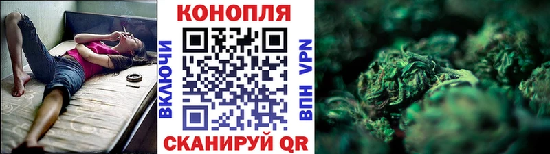 Купить закладки  Гуково  Канабис AK-47 